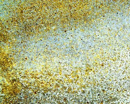 Yellow wall Stock Photos