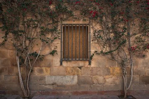 Yellow wall with a window Stock Photos