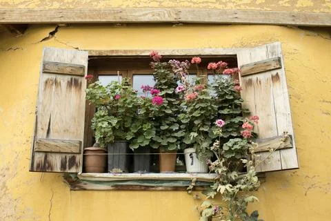 Yellow Wall Window With Rustic Shutters And Flowers Stock Photos