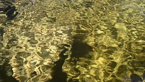 Yellow water inside a pool from a mountain stream Stock Footage 219646816