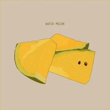 Yellow water melon , sketch vector. Stock Illustration