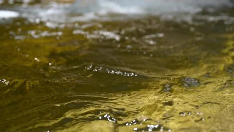 Yellow water in a pool of a mountain river (slow motion) Video stock 212766889