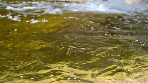 Yellow water in a pool of a mountain river (slow motion) Video stock 212769942
