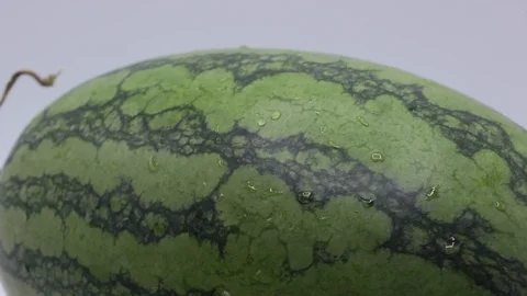 Yellow watermelon Stock Footage 124692527