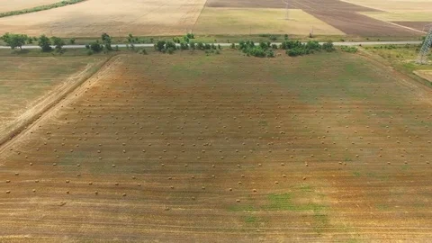 Yellow wheat fields, aerial video Stock Footage 78117014