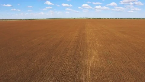Yellow wheat fields after harvest, aerial video Stock Footage 83320773