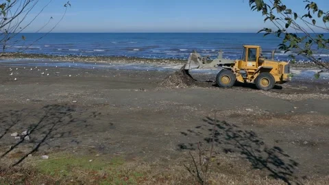 Yellow wheel loader piles sea-washed debris on an empty winter beach Stock Footage 320745077