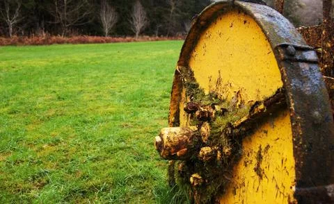 Yellow Wheel Stockfoto's