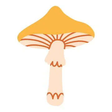 Yellow wild forest mushroom vector illustration isolated on white. Perfect for Stock Illustration