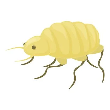 Yellow wireworm larva crawling on white background Stock Illustration