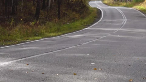 Yellowed autumn leaves fall on an empty suburban highway.  Stock Footage 132891551
