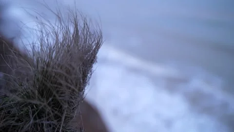 Yellowed grass on the edge of cliff above autumn storming sea Stock Footage 151655053