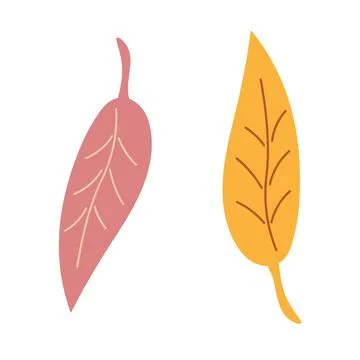 Yellowed leaves of a tree on an isolated background. Autumn time. Elements for Stock Illustration