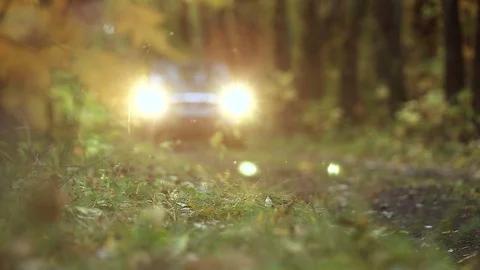 Yellowed maple leaf on the background of a road with riders and a car Stock Footage 74663787