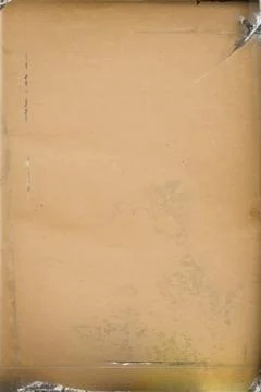 Yellowed paper Illustrazione stock