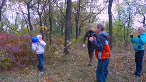 Yellowed trees in autumn. 库存影片 56311328