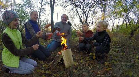 Yellowed trees in autumn. 库存影片 56575475