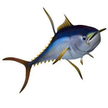 Yellowfin Tuna Stock Illustration