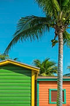 Yellowhut Stock Photos