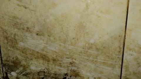 Yellowing bathroom floor. Stock Footage 313463956