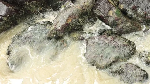 Yellowish-brown sea waves on rocks Stock Footage 345447788