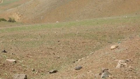 Yellowish red fields 2 Видео 335486154