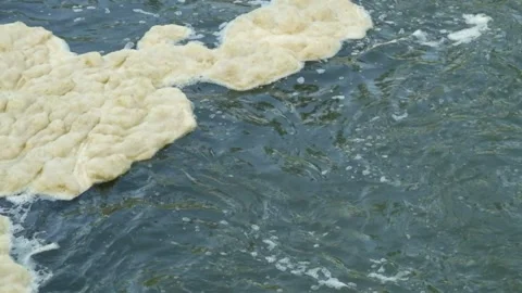 Yellowish white foam left over from waste swirls in the river Stock Footage 280389061