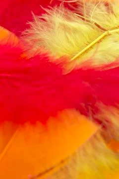 Yellow,Red and Orange craft feathers background Stock Photos