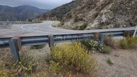 Yellows wildflowers foreground in the side of the zig zag mountain road Stock Footage 199547383