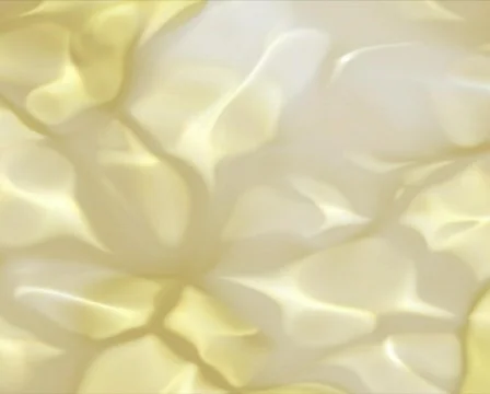 Yellowsilk p Stock Footage