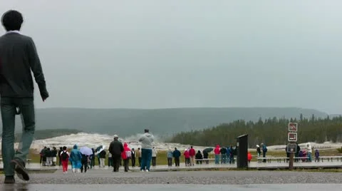 Yellowstone 3 Vidéo 11308294