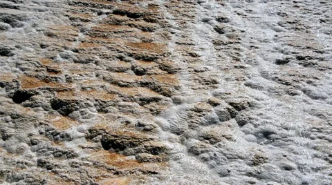 Yellowstone Bacteria Mat Stock Footage 61769229
