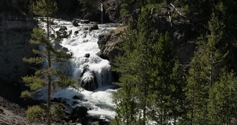 Yellowstone beautiful deep forest canyon waterfall Stock Footage 140455861
