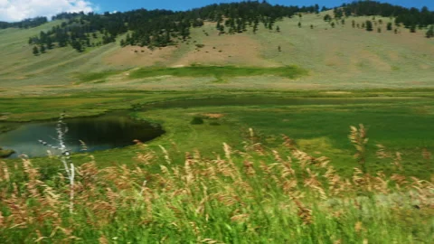 Yellowstone Blacktail Ponds Stock Footage 140116950