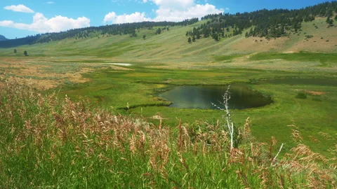 Yellowstone Blacktail Ponds Stock Footage 140117151