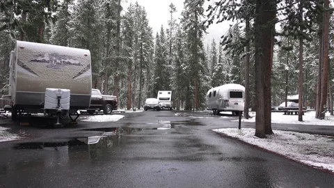 Yellowstone campground with RV's in forest Stock Footage