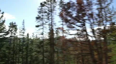 Yellowstone Drive with Sun Flare Stock Footage 22797445