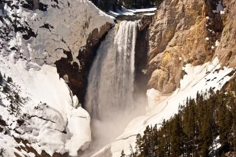Yellowstone falls in spring Stock Photos