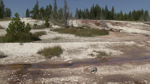 Yellowstone Video stock 27804668
