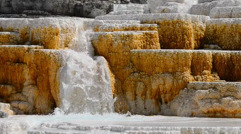 Yellowstone Geyser  Stock Footage 25846909