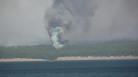 Yellowstone Lake Fire Close-up Stock Footage 687635