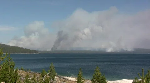 Yellowstone Lake Fire Stock Footage 687656