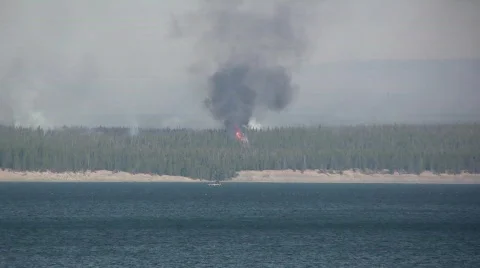 Yellowstone Lake  Forest Fire  Stock Footage 687626