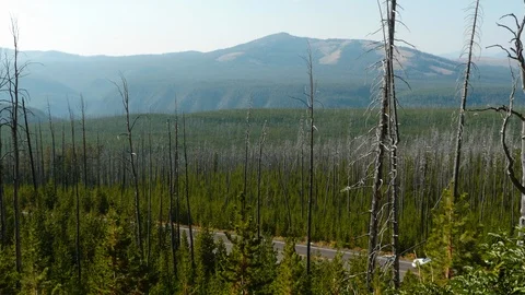 Yellowstone landscape Stock Footage 93418966