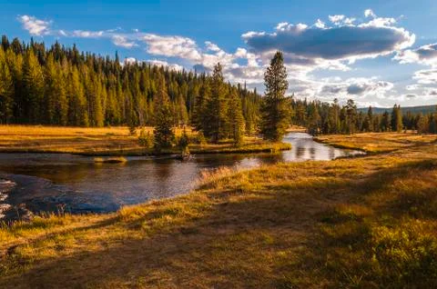 Yellowstone landscape Stock Photos