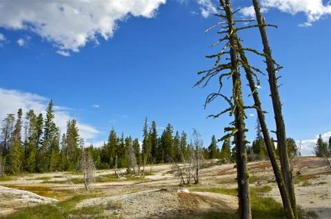 Yellowstone landscape Stock Photos