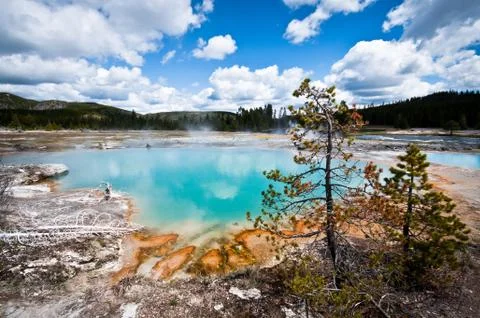 Yellowstone Landscape Stock Photos