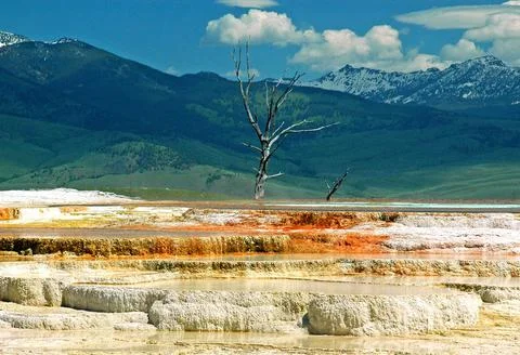 Yellowstone landscape Stock Photos
