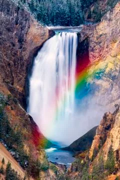 Yellowstone Lower Falls Stock Photos