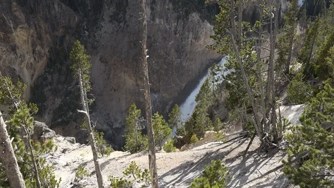 Yellowstone Lower Falls view Video stock 86250384